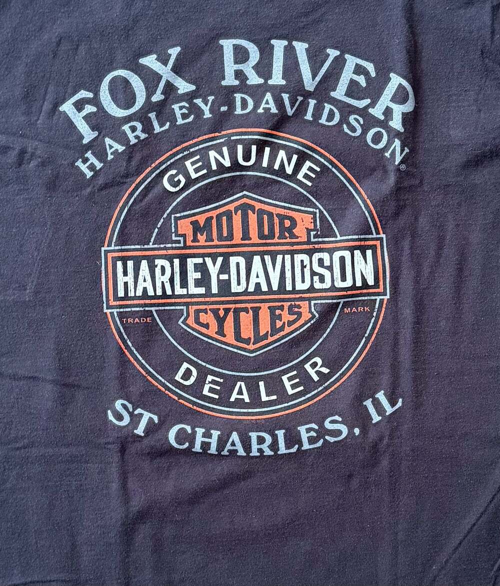 Vintage Harley-Davidson Fox River St Charles IL Skull Graphic Hanes Beefy